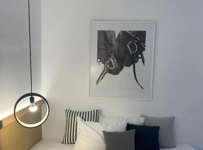 Alirene Mykonos מלון *