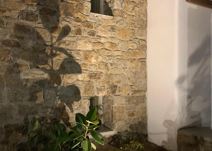 מלון Alirene Mykonos *