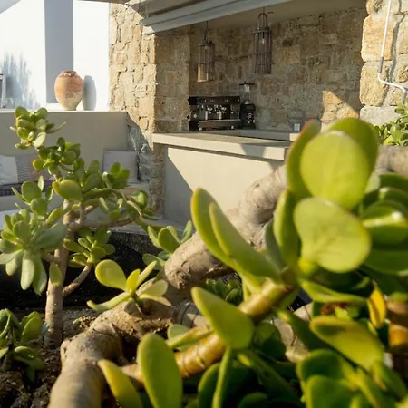 מלון Alirene Mykonos *